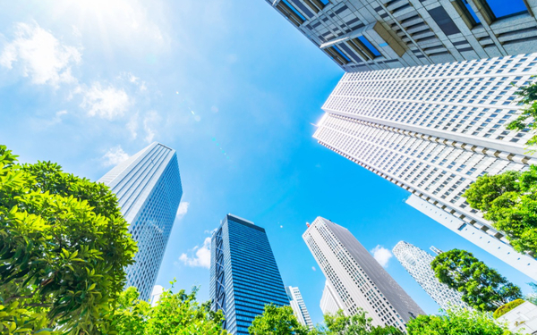 Hojas verdes iluminadas entre edificios urbanos